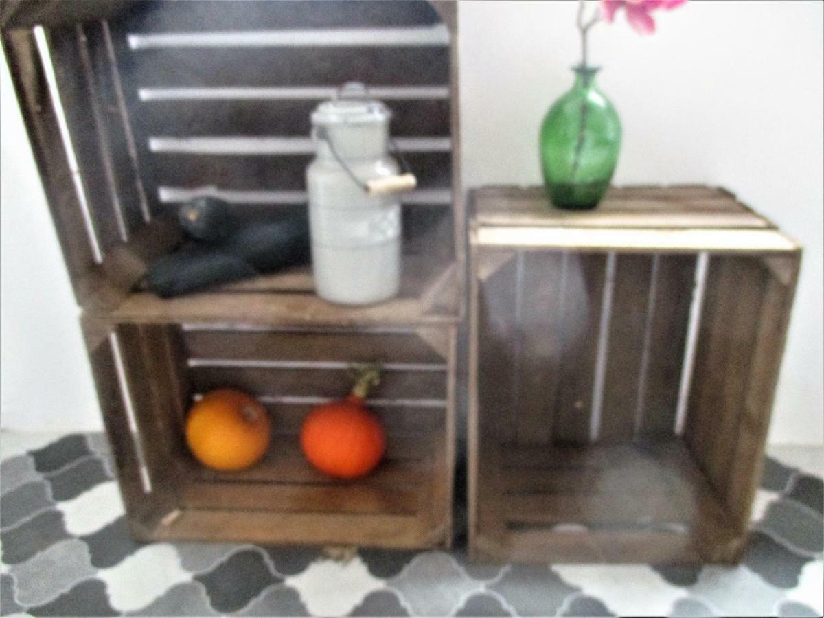 Sandhasennest Apartment